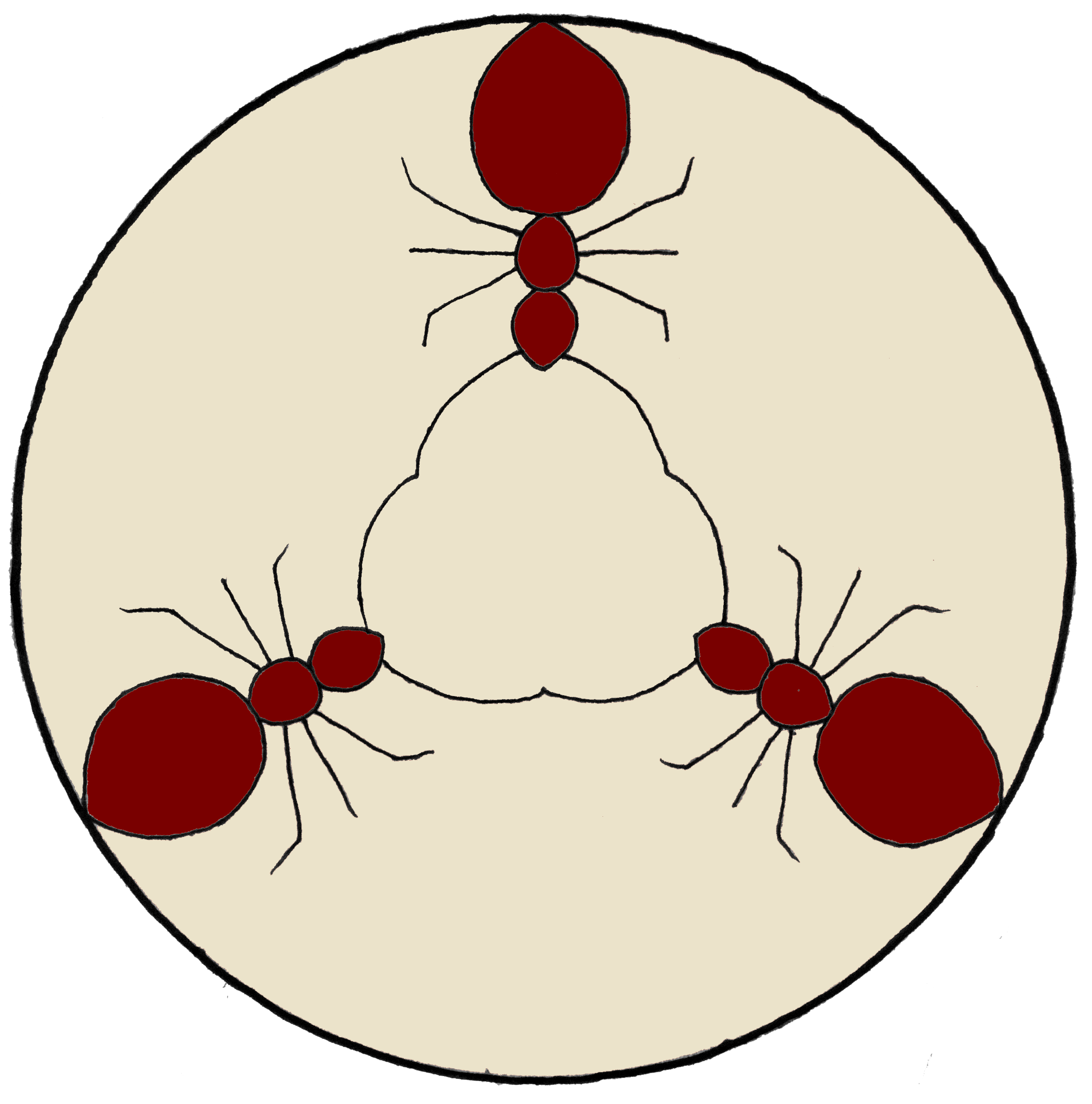 Formicola dark large 003 cream with bordeaux ants